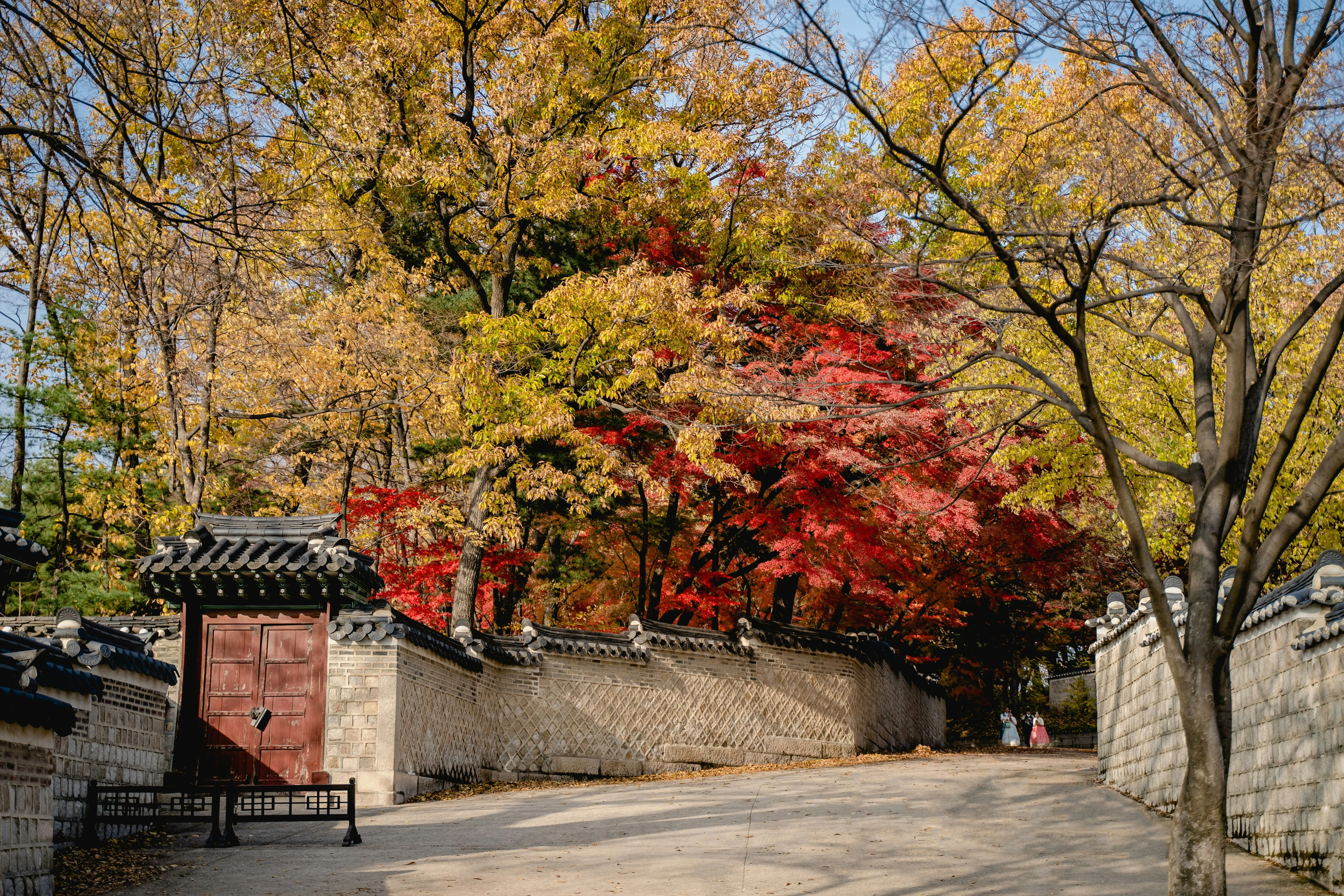 A calm hanok courtyard used for wellness experiences